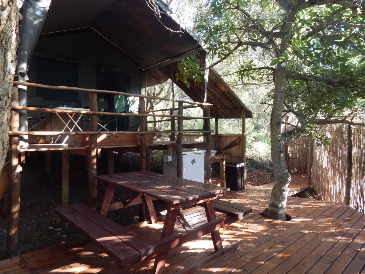 Hotel The Old Trading Post Wildernis Esterno foto